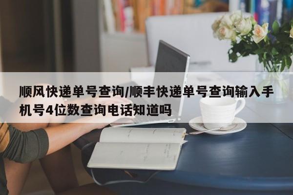 顺风快递单号查询/顺丰快递单号查询输入手机号4位数查询电话知道吗